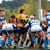 crónica Burgos-Huesitos